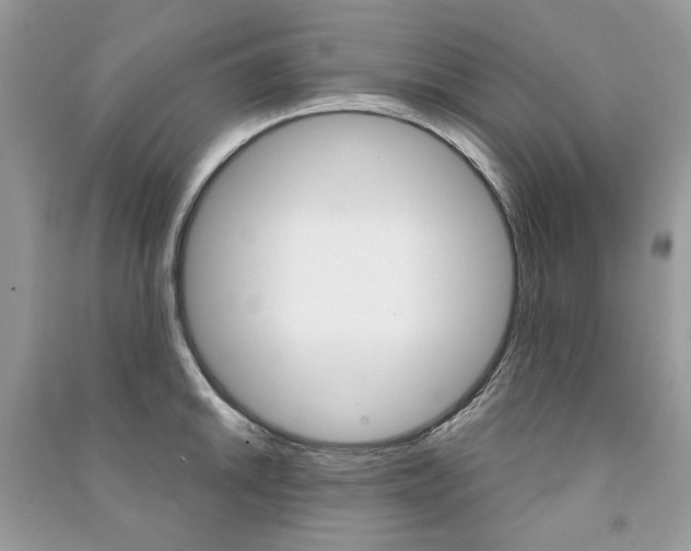 X0000091181046200708091042