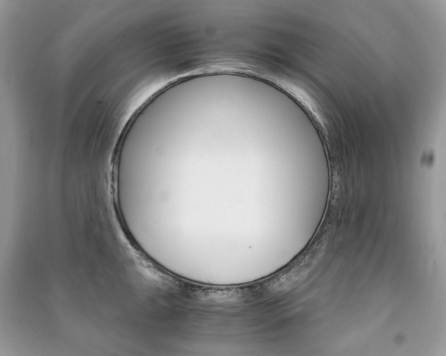 X0000091181047200708091042