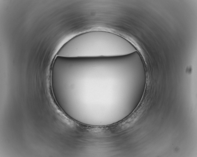 X0000091181048200708091042