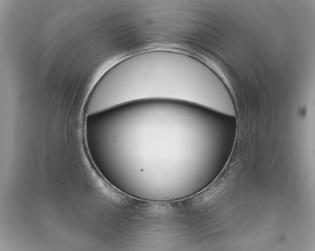 X0000091181050200708091042