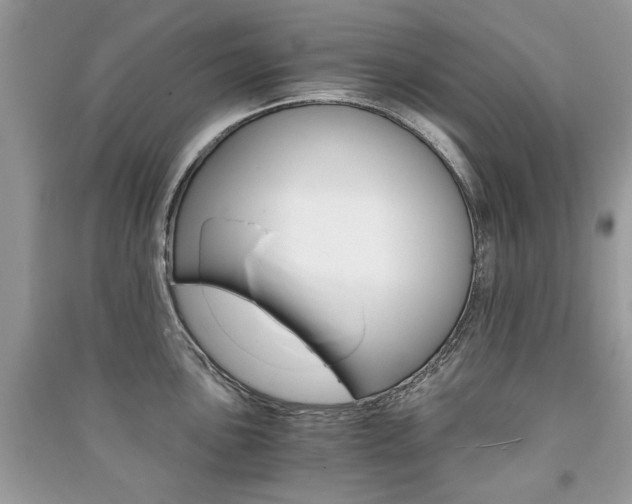 X0000091181051200708091042