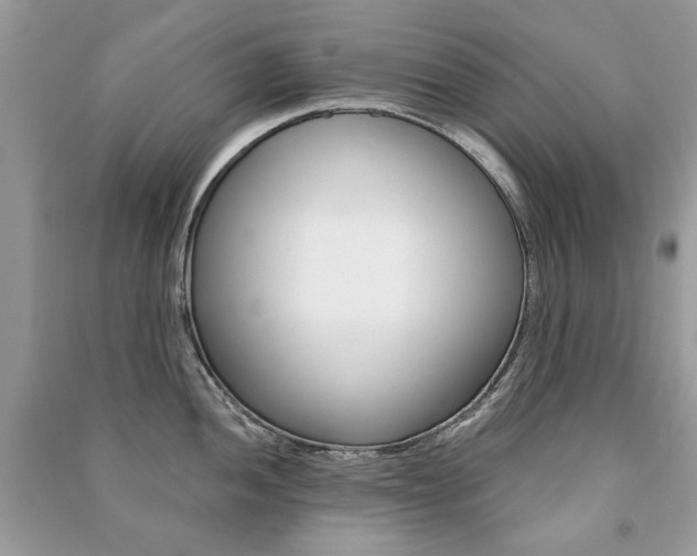 X0000091181052200708091042