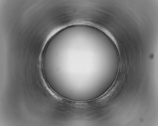 X0000091181053200708091042