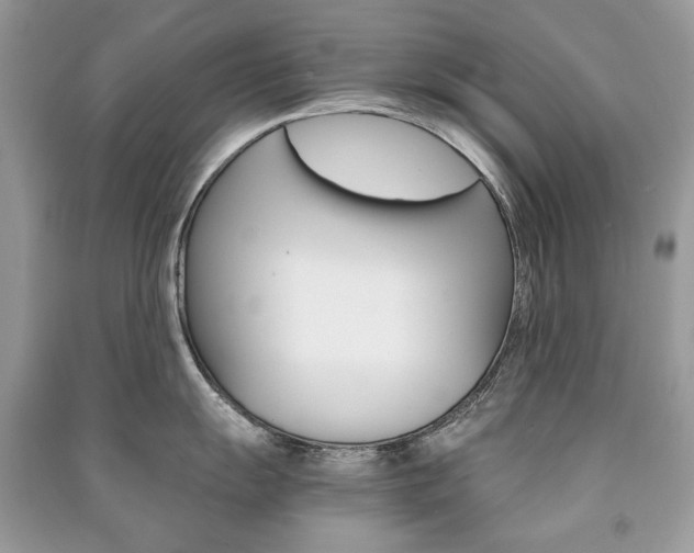 X0000091181055200708091042