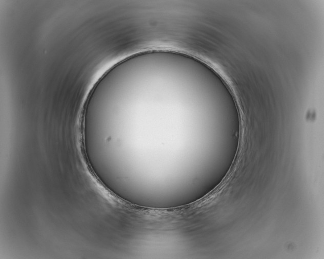 X0000091181056200708091042