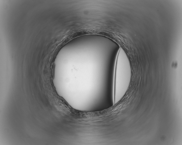 X0000091181057200708091041