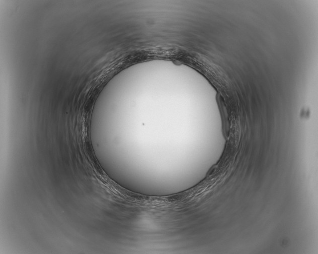 X0000091181058200708091041