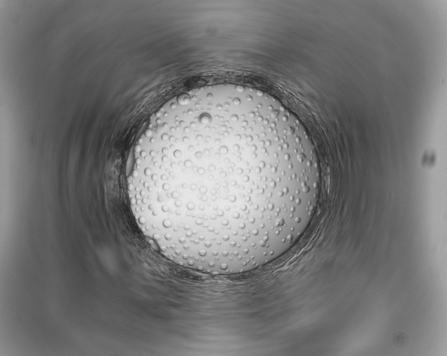 X0000091181059200708091041