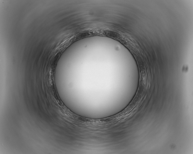 X0000091181060200708091041