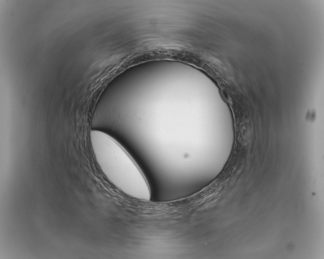 X0000091181061200708091041