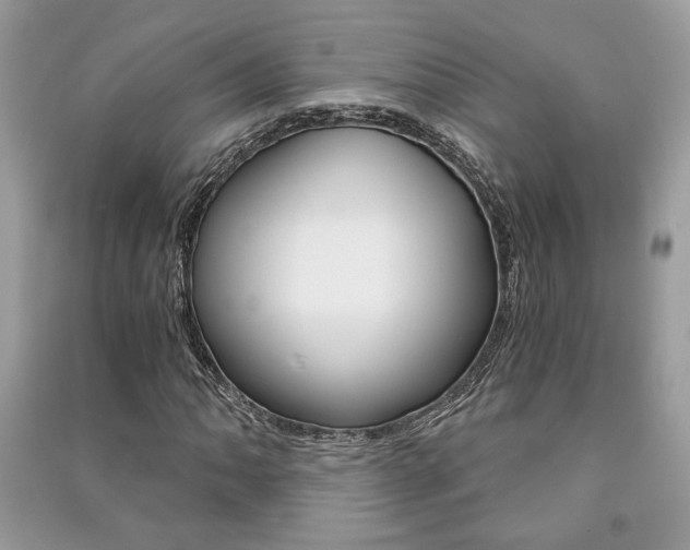X0000091181062200708091041