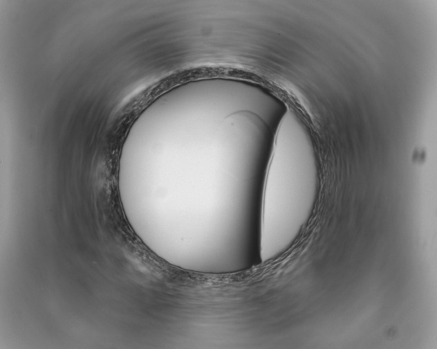 X0000091181064200708091041