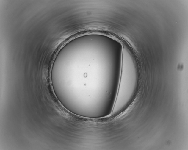 X0000091181065200708091041