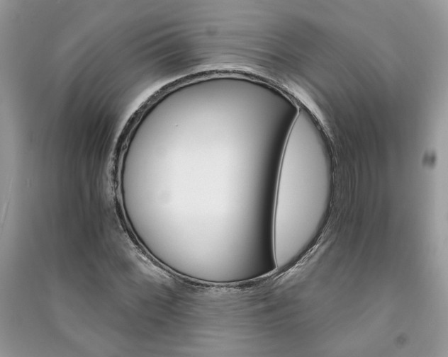 X0000091181068200708091041