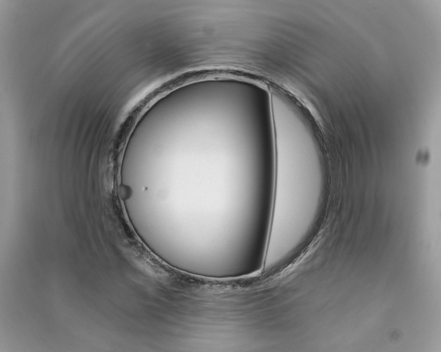 X0000091181069200708091041