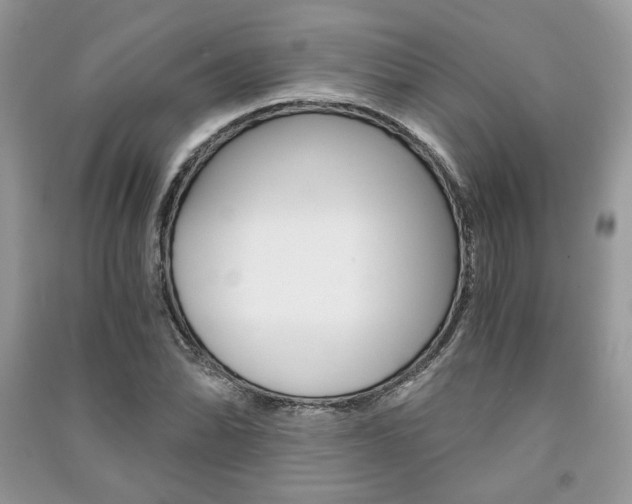X0000091181070200708091041