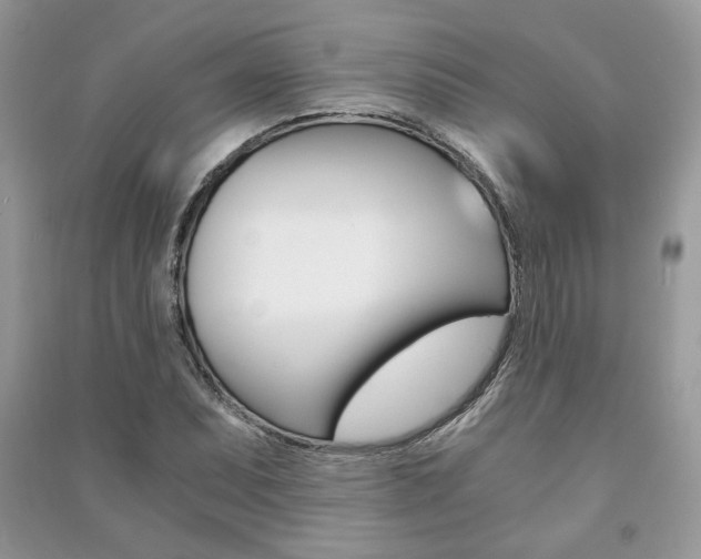X0000091181071200708091041