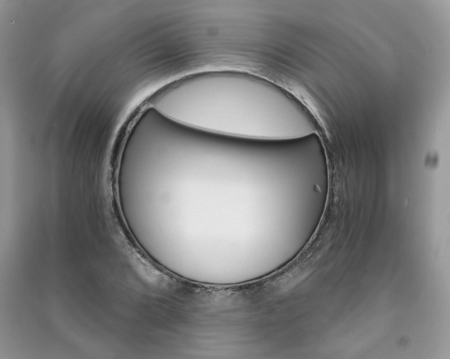 X0000091181072200708091041