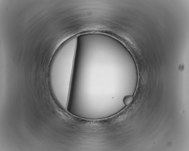 X0000091181073200708091041