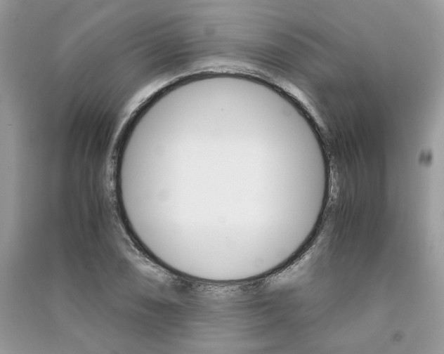 X0000091181074200708091041