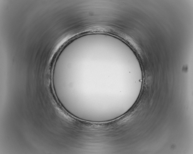 X0000091181075200708091041
