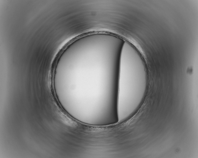 X0000091181076200708091041