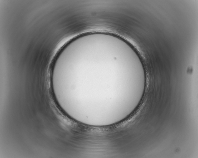 X0000091181078200708091041