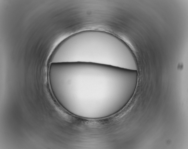 X0000091181079200708091041