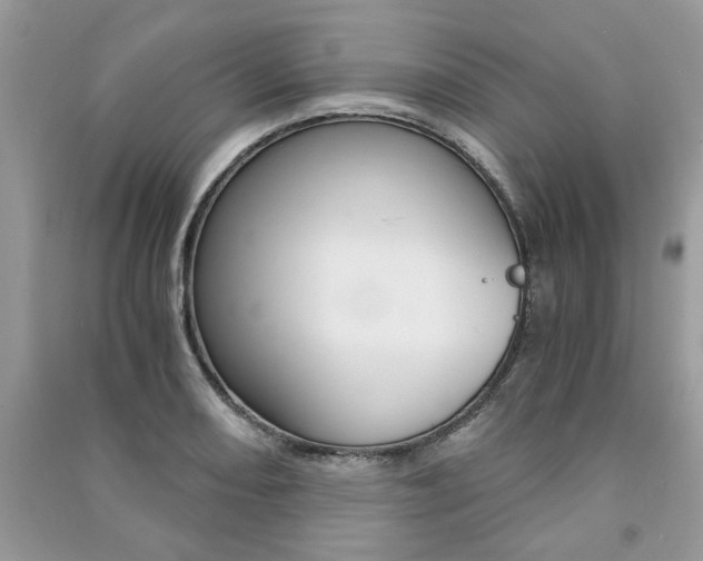 X0000091181082200708091041