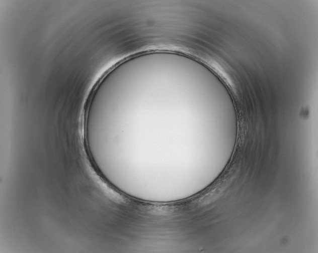 X0000091181084200708091041