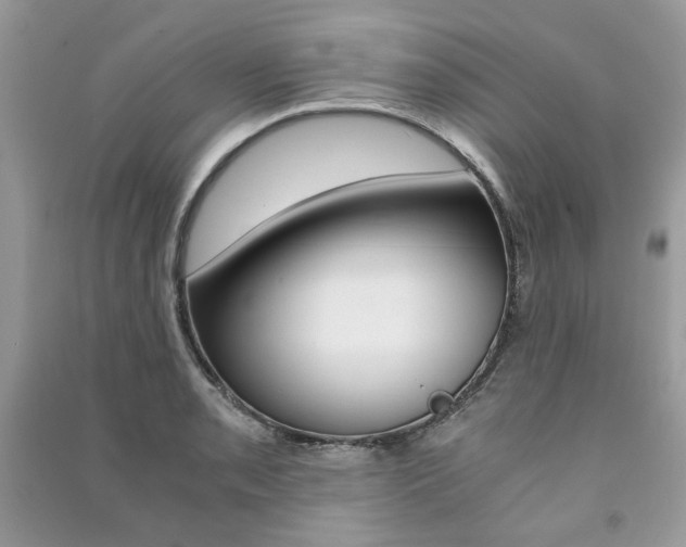 X0000091181085200708091041
