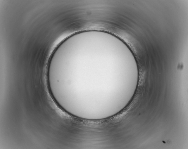 X0000091181086200708091041