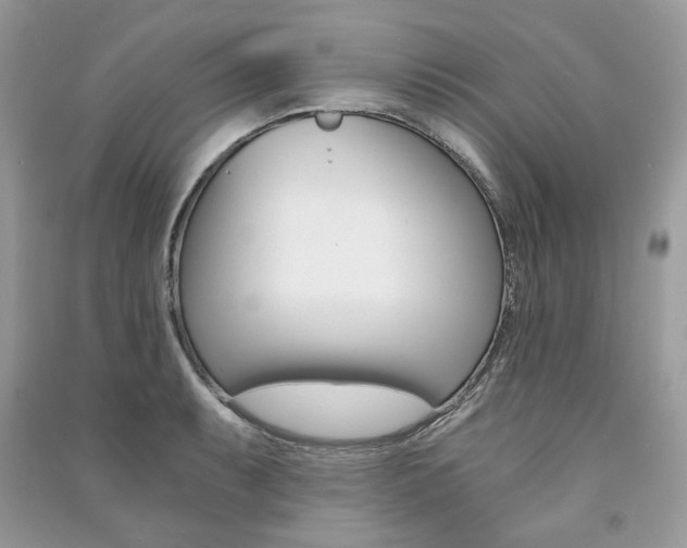 X0000091181087200708091041