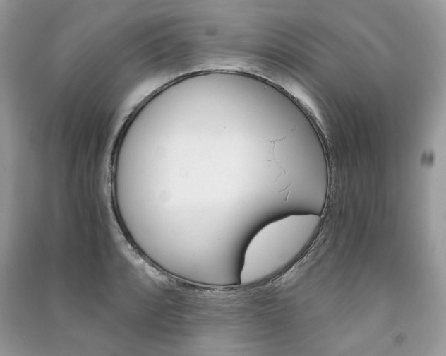 X0000091181088200708091041