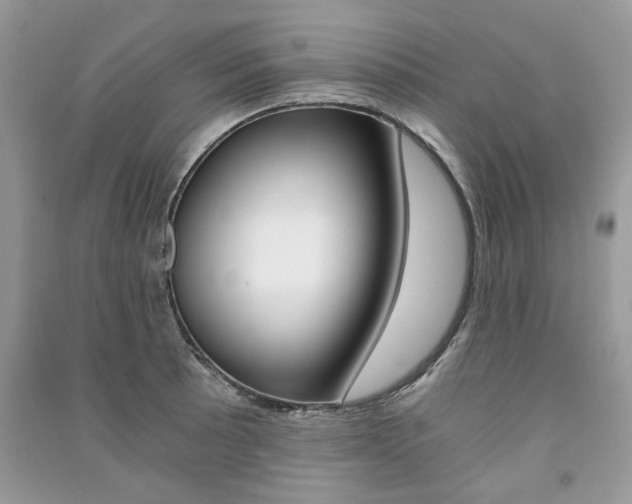 X0000091181089200708091041