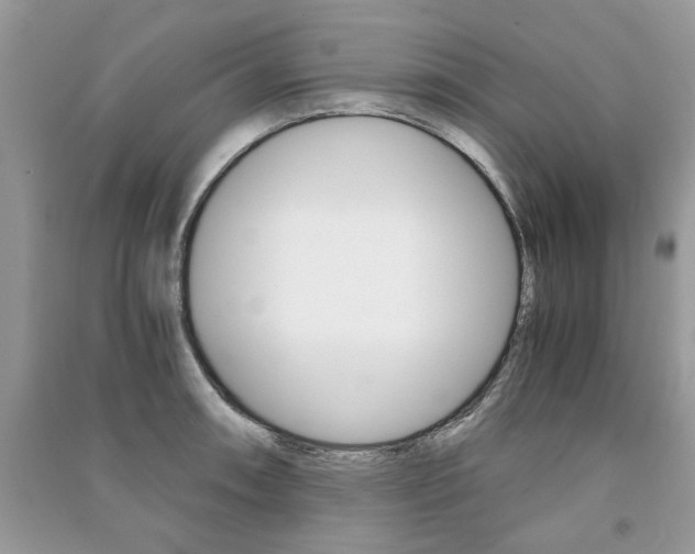 X0000091181090200708091041