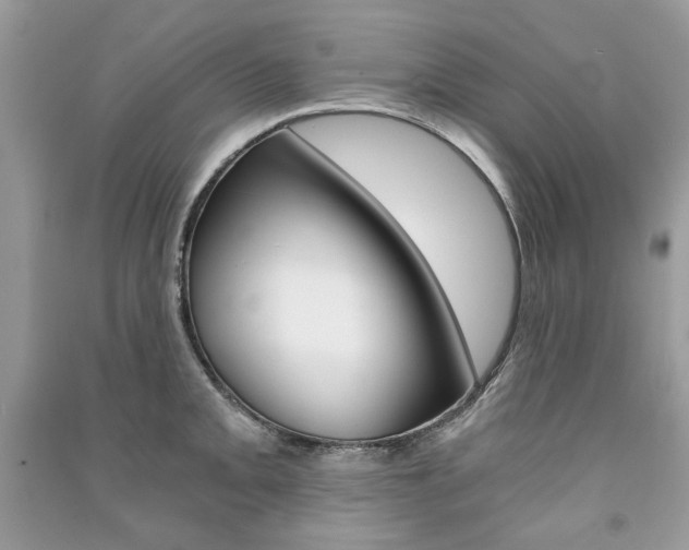 X0000091181093200708091041