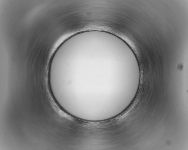 X0000091181094200708091041