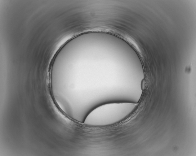 X0000091181095200708091041