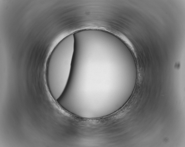 X0000091181096200708091041