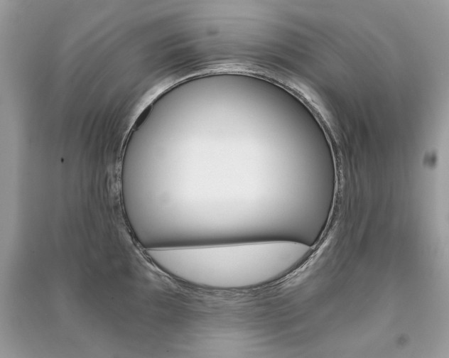 X0000091181097200708091041