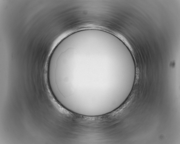 X0000091181098200708091041