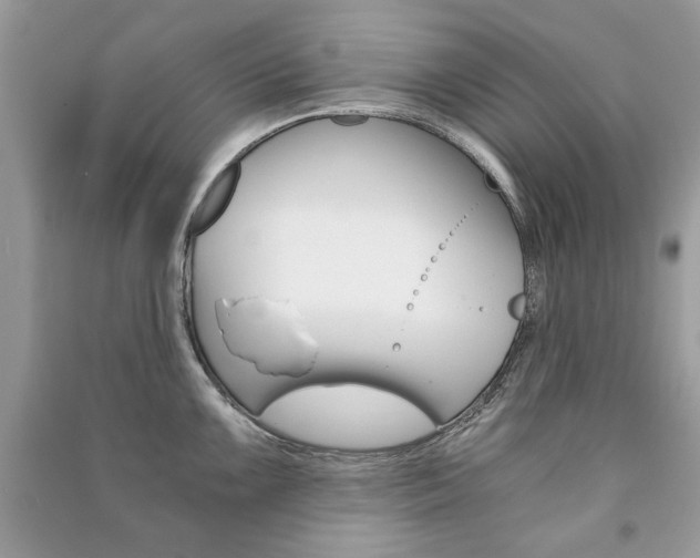X0000091181099200708091041