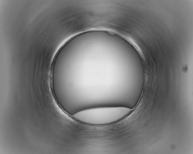 X0000091181100200708091041