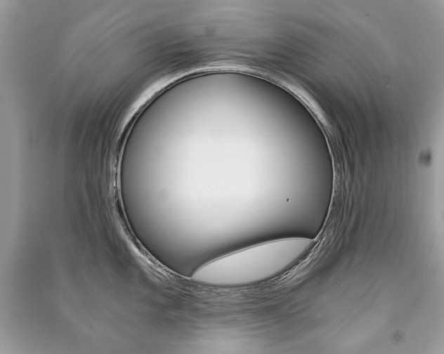 X0000091181101200708091041