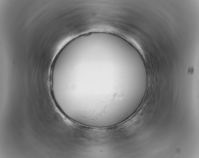 X0000091181103200708091041