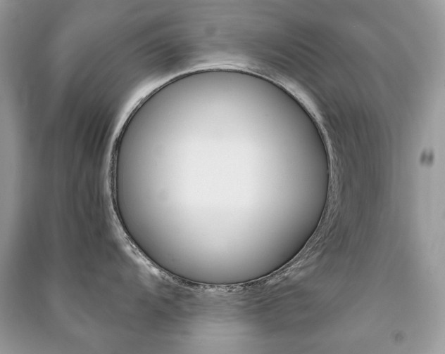 X0000091181104200708091041