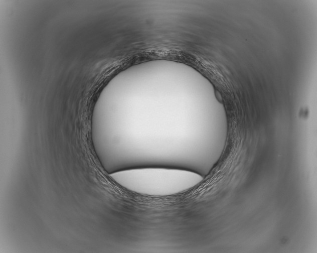 X0000091181105200708091040