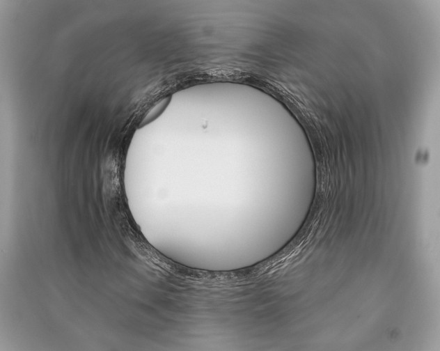 X0000091181106200708091040