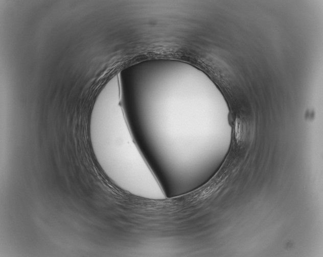 X0000091181107200708091040